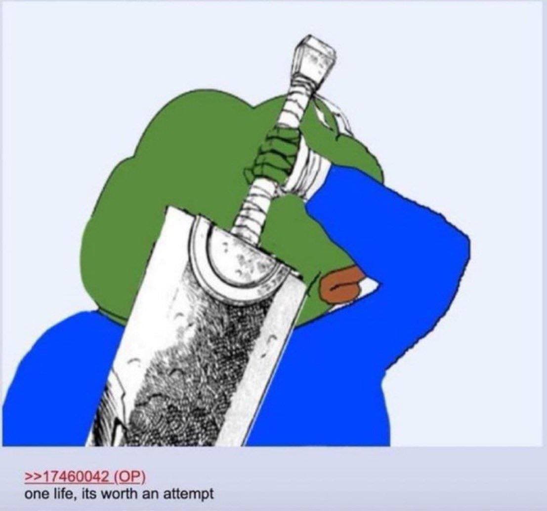 Pepe the frog holding a sword, with caption 'one life is worth an attempt'